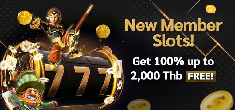 New Member - Slots Nov23