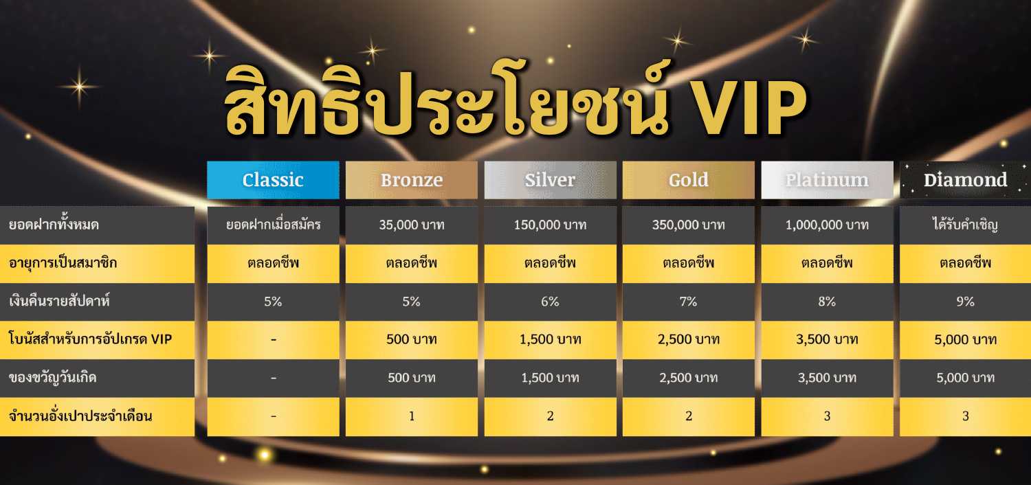 VIP-member-small-banner